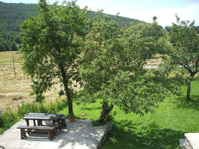 Apartment Ema Stolac Экстерьер фото